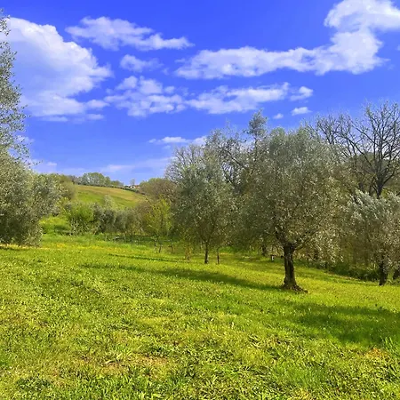 Casale La Civetta Con Piscina Privata Holiday home *