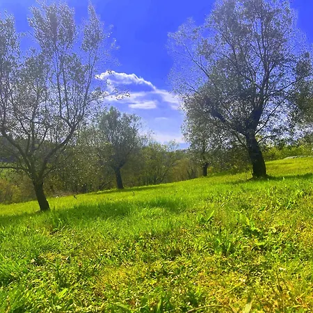 Casale La Civetta Con Piscina Privata Holiday home
